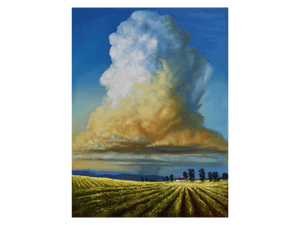 'Fields of Gold' - Charles Amos
