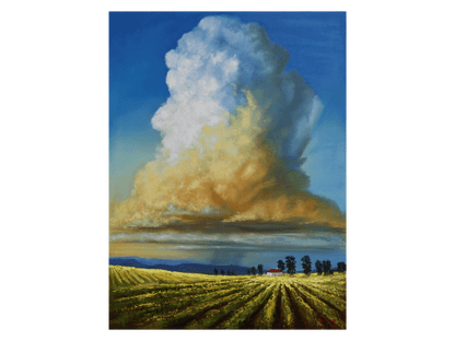 'Fields of Gold' - Charles Amos