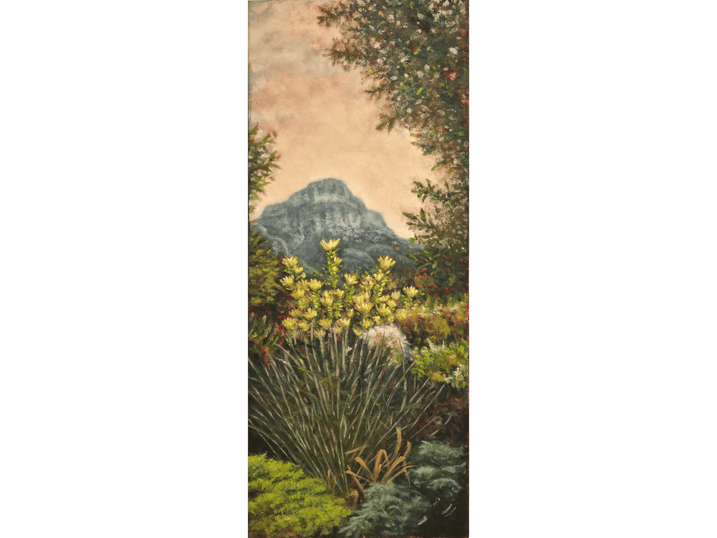 'Kirstenbosch Three' - Phyllida Louw