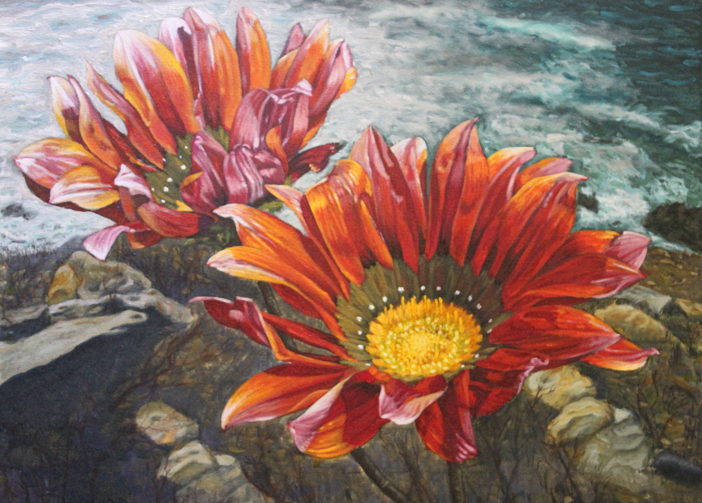 'Gazania in Landscape' - Phyllida Louw
