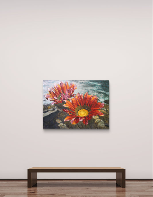 'Gazania in Landscape' - Phyllida Louw