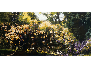 'Spring Garden' - Mike Forrester
