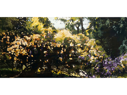 'Spring Garden' - Mike Forrester