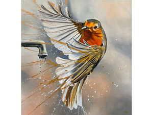 'European Robin' - Darren McKay