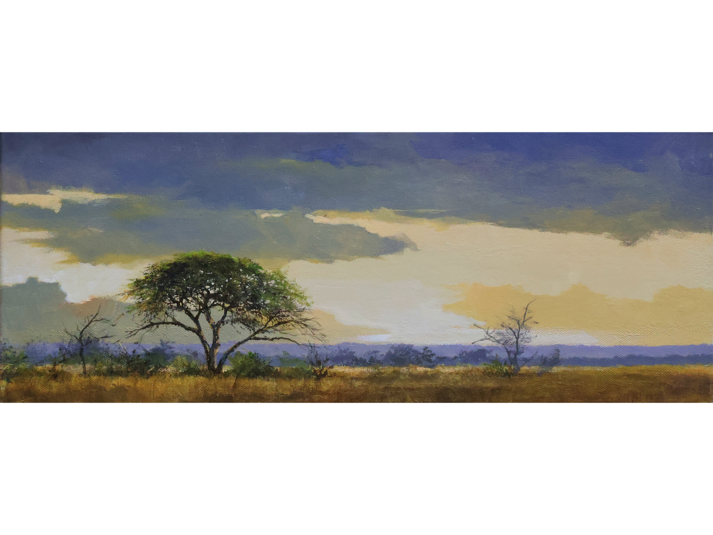Original acrylic painting 'After the rain, Kruger' by Dawie Fourie, 19 cm x 50 cm. A panoramic landscape with a leafy tree under a stormy sky.