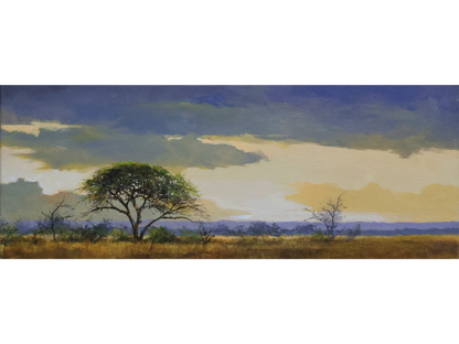 Original acrylic painting 'After the rain, Kruger' by Dawie Fourie, 19 cm x 50 cm. A panoramic landscape with a leafy tree under a stormy sky.