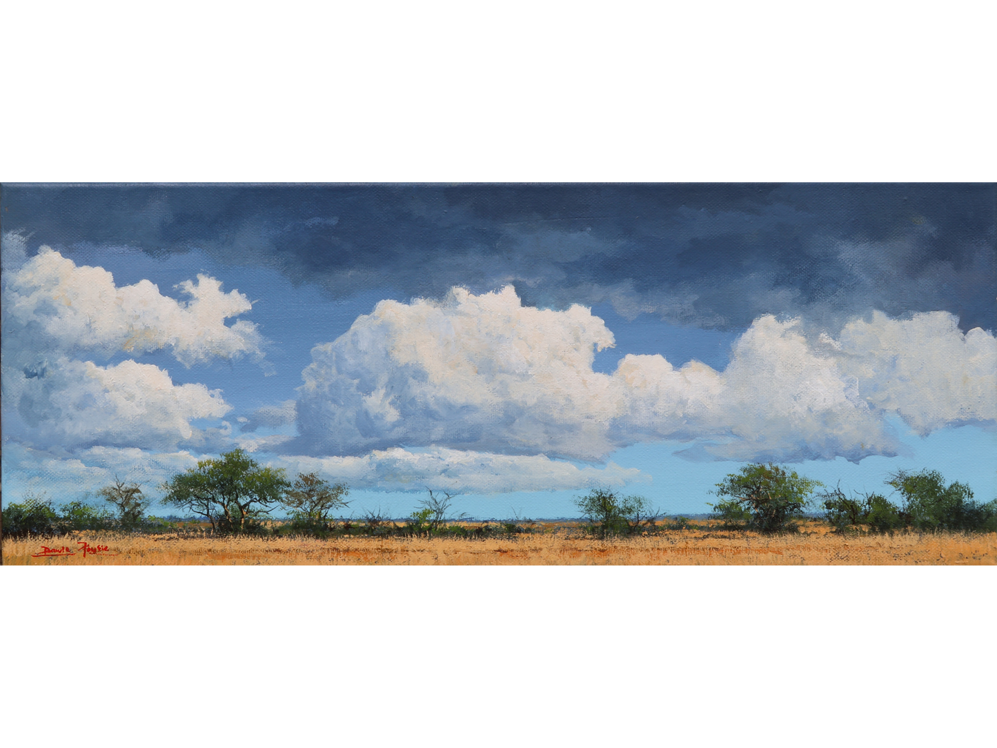'Kruger Cloudscape 2' - Dawie Fourie