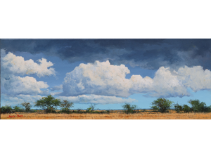 'Kruger Cloudscape 2' - Dawie Fourie