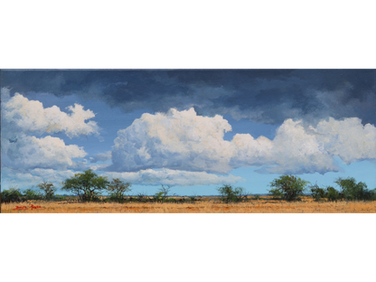 'Kruger Cloudscape 2' - Dawie Fourie