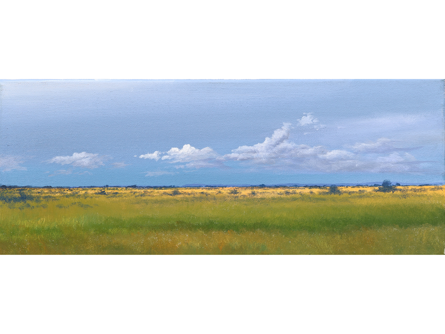 'S-137' - Dawie Fourie