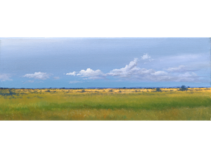 'S-137' - Dawie Fourie