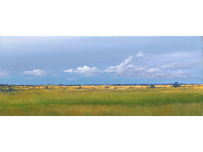 'S-137' - Dawie Fourie