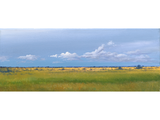 'S-137' - Dawie Fourie
