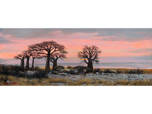 'Kubu Island' - Dawie Fourie