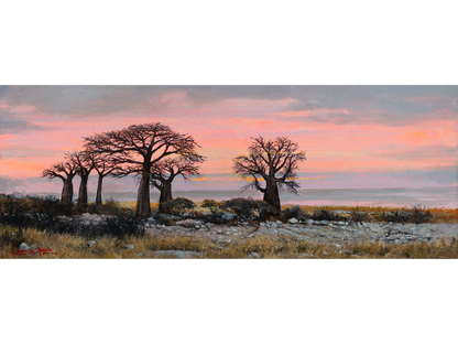 'Kubu Island' - Dawie Fourie