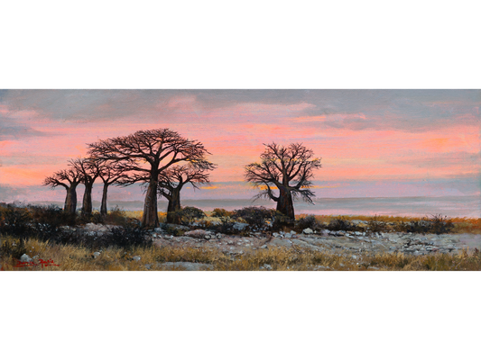 'Kubu Island' - Dawie Fourie