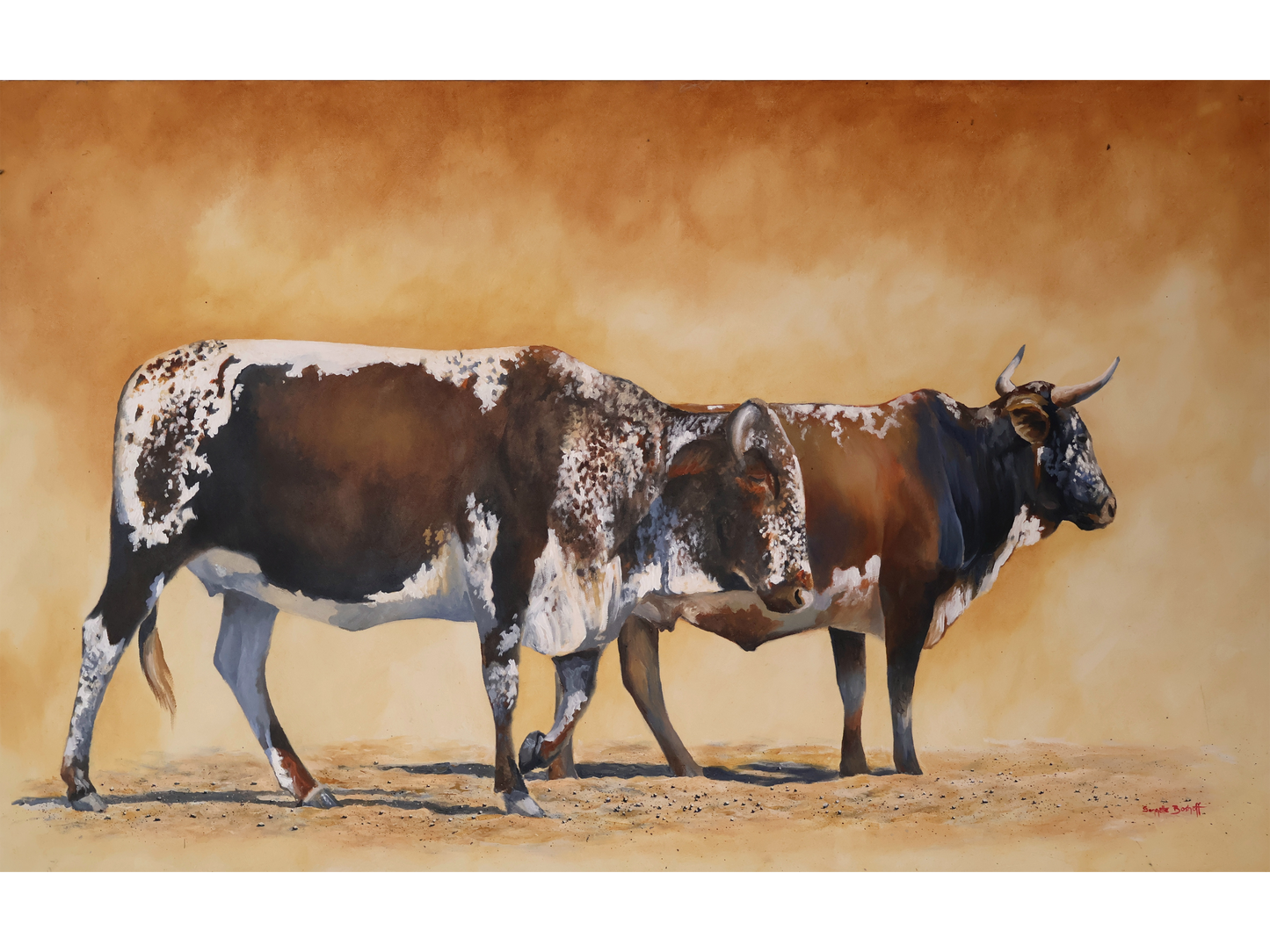 Original acrylic painting 'Ngunis' by Sannette Boshoff, 65 cm x 100 cm. Two Nguni cattle with speckled hides standing in a sun-baked landscape.