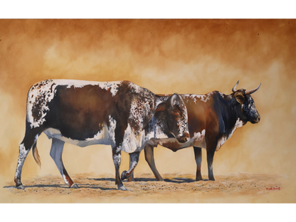 Original acrylic painting 'Ngunis' by Sannette Boshoff, 65 cm x 100 cm. Two Nguni cattle with speckled hides standing in a sun-baked landscape.