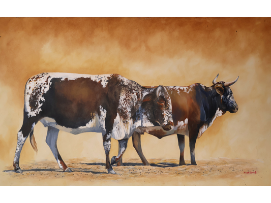 Original acrylic painting 'Ngunis' by Sannette Boshoff, 65 cm x 100 cm. Two Nguni cattle with speckled hides standing in a sun-baked landscape.