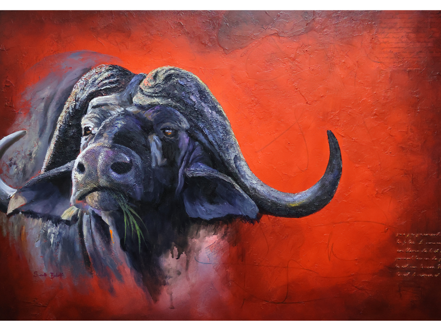 Original mixed media painting 'Unyielding, Mud and Memory' by Sannette Boshoff, 60 x 84 cm. A textured buffalo portrait against a bold red background.