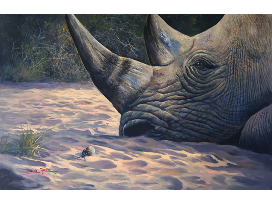 Horizontal acrylic painting of a close-up rhino head resting on the sand, watching a small dung beetle roll a ball in the foreground.