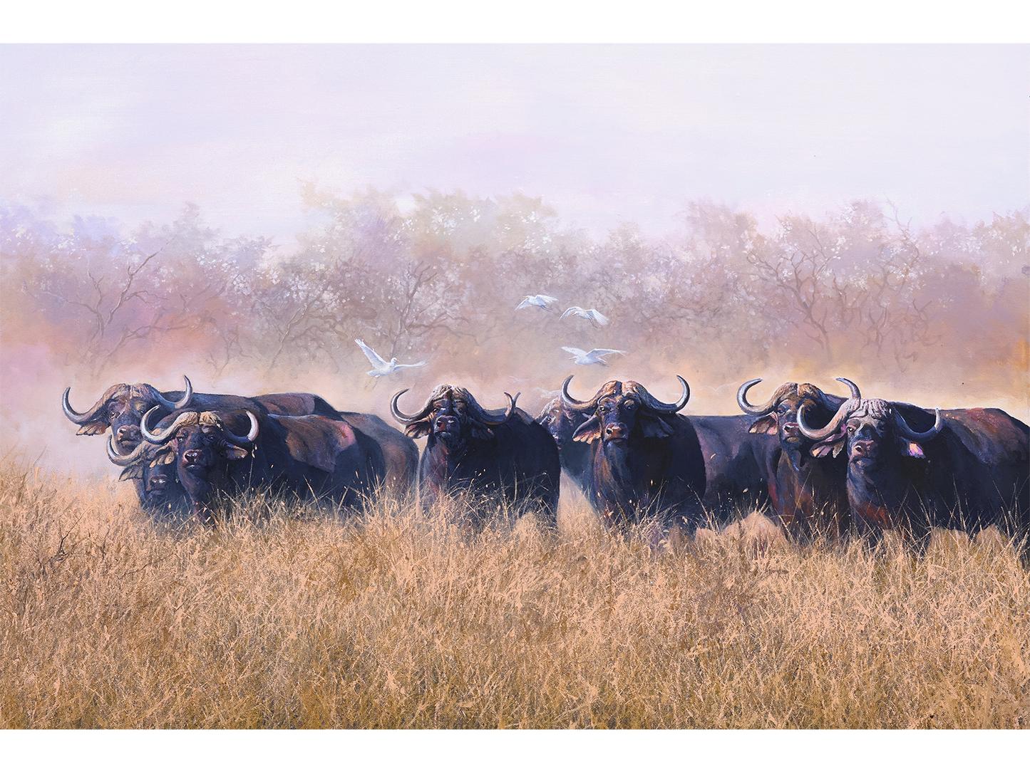 Mixed media painting of a Cape buffalo herd standing in tall golden grass with white egrets flying in a misty bushveld landscape by Dawie Fourie.