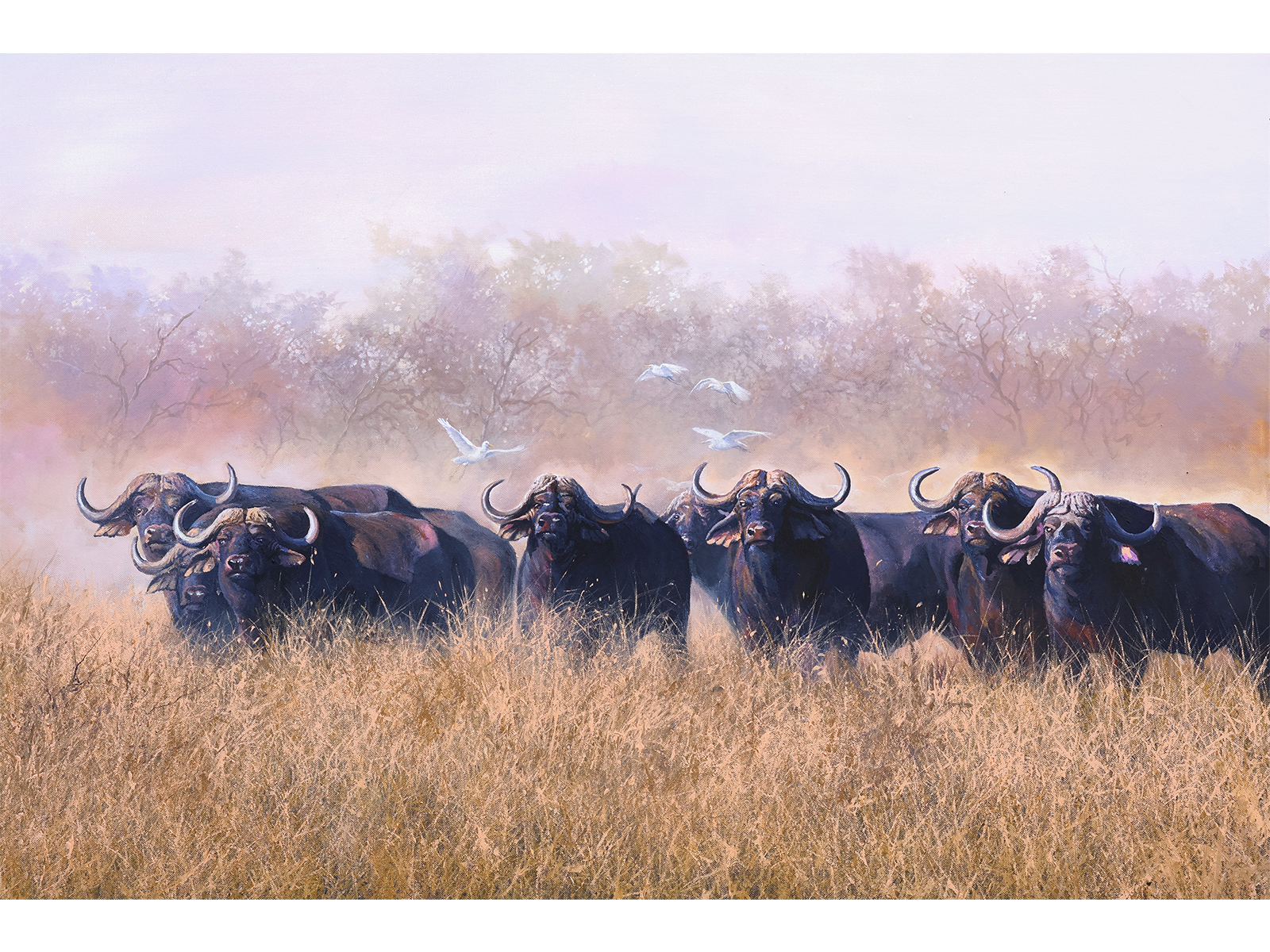 Mixed media painting of a Cape buffalo herd standing in tall golden grass with white egrets flying in a misty bushveld landscape by Dawie Fourie.