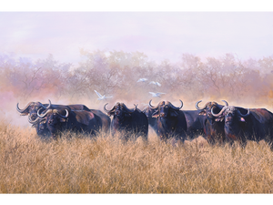 'God's Cattle' - Dawie Fourie