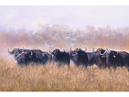 Mixed media painting of a Cape buffalo herd standing in tall golden grass with white egrets flying in a misty bushveld landscape by Dawie Fourie.