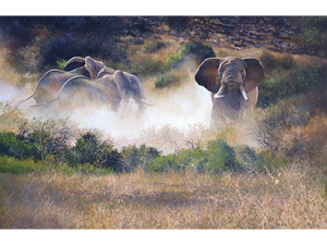 'Elephants in the dust' - Dawie Fourie
