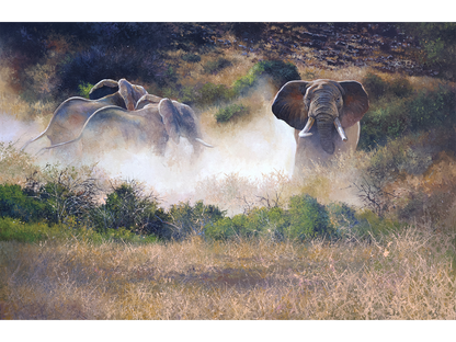 'Elephants in the dust' - Dawie Fourie