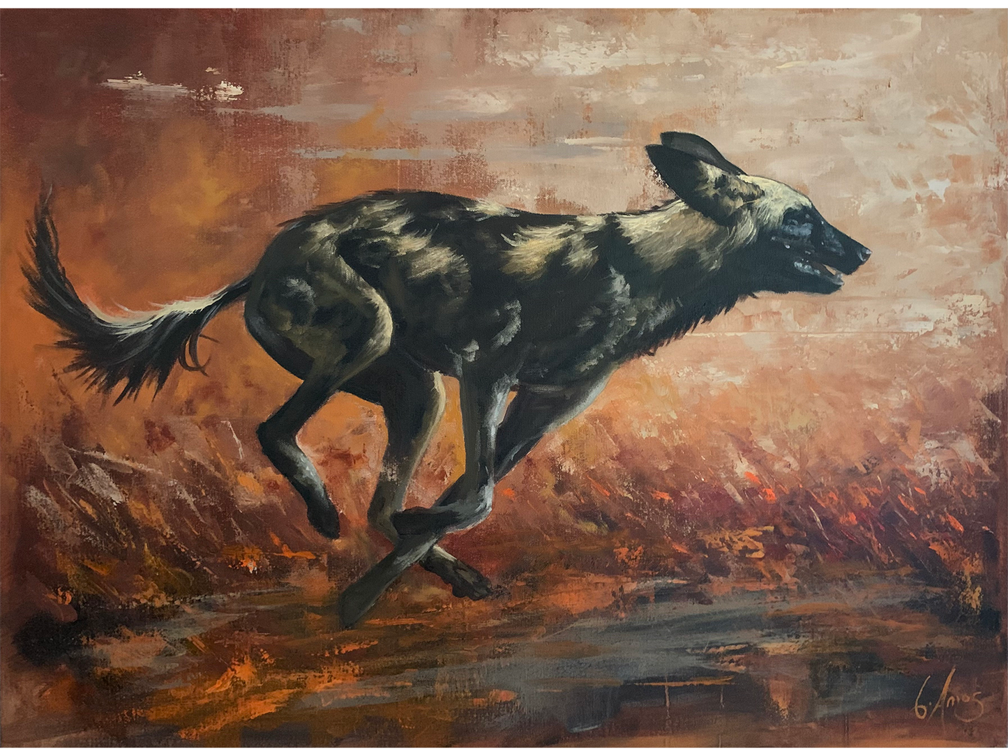 Oil painting of an African wild dog running mid-gallop against a warm terracotta and ochre background by Charles Amos.