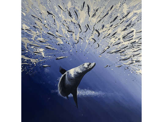 Acrylic on canvas 120 cm Height x 120 cm Width showing an underwater scene of a seal swimming up toward a swirling school of fish and explosive white paint splatter