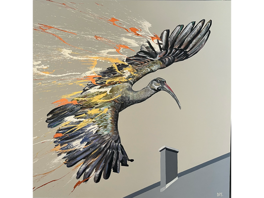 Acrylic on canvas 120 cm Height x 120 cm Width showing a Hadeda Ibis in dynamic flight rendered in dark tones with an explosive trail of orange gold and white paint splatter