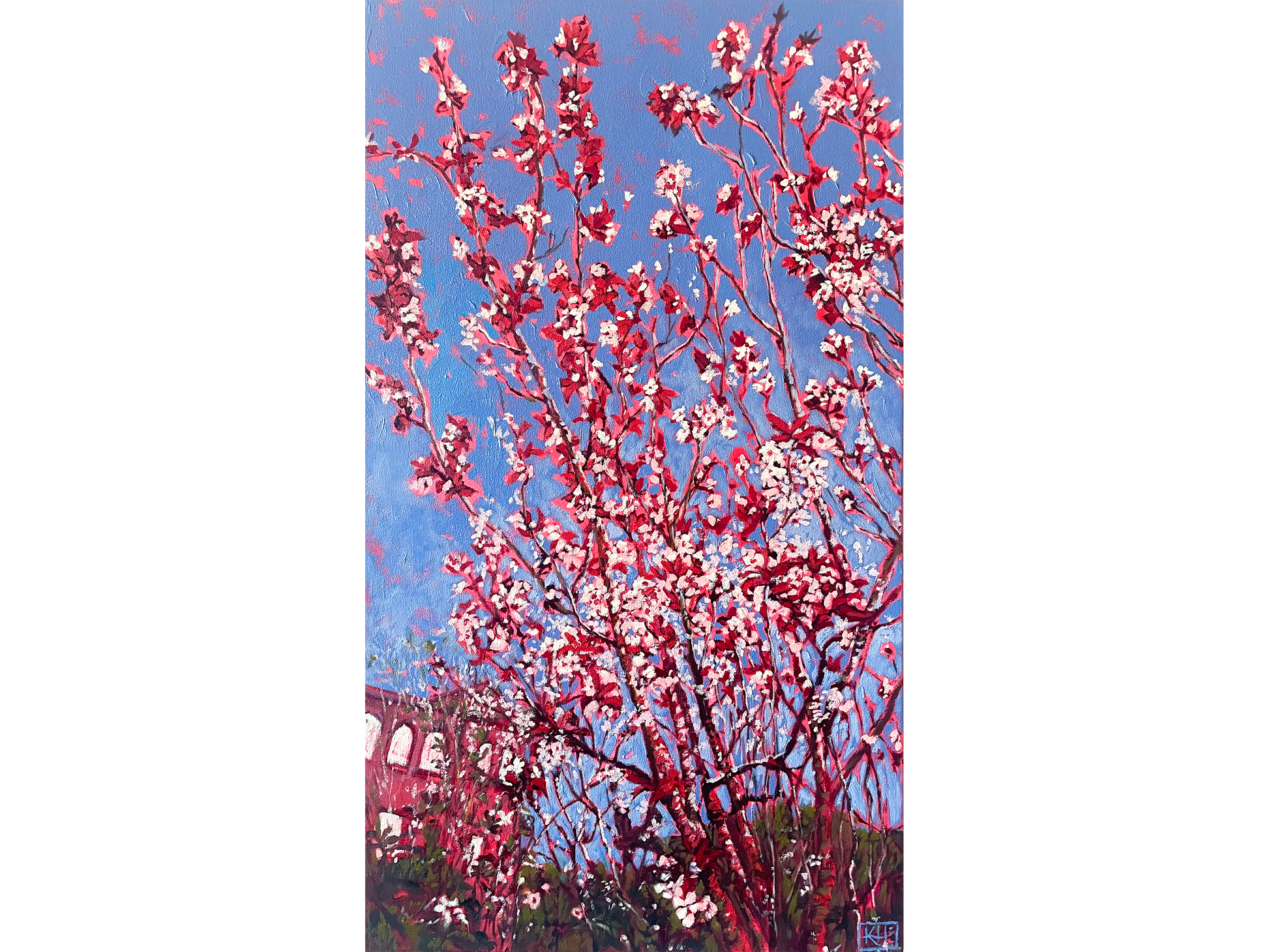 Original oil painting 'Jordan's Cherry Tree' by Karin Hopkinson, 70 cm x 40 cm. Vibrant pink and red blossoms on dark branches against a bright blue sky.