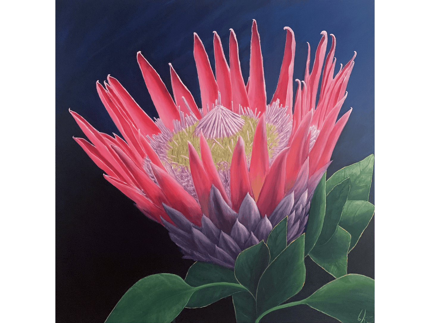 'King' - Charles Amos