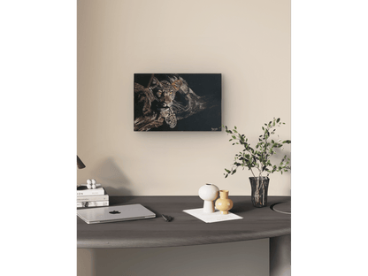 'Leopard Settled on a Branch' - Mike Forrester