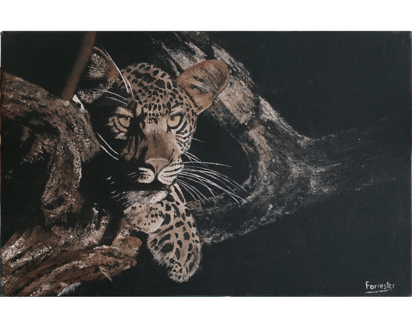 'Leopard Settled on a Branch' - Mike Forrester