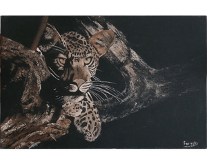 'Leopard Settled on a Branch' - Mike Forrester