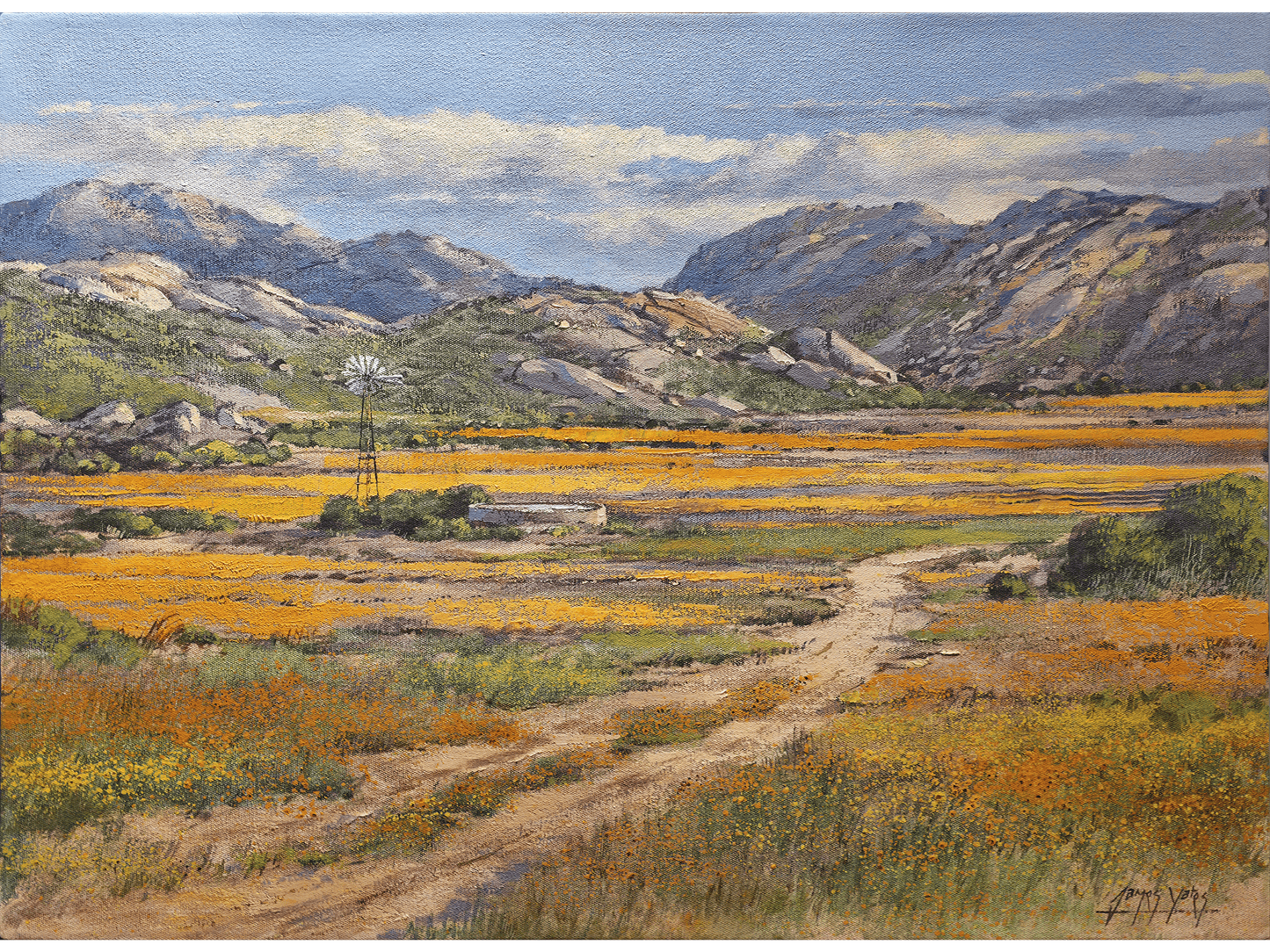 'Namaqualand Spring' - James Yates