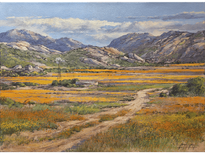'Namaqualand Spring' - James Yates