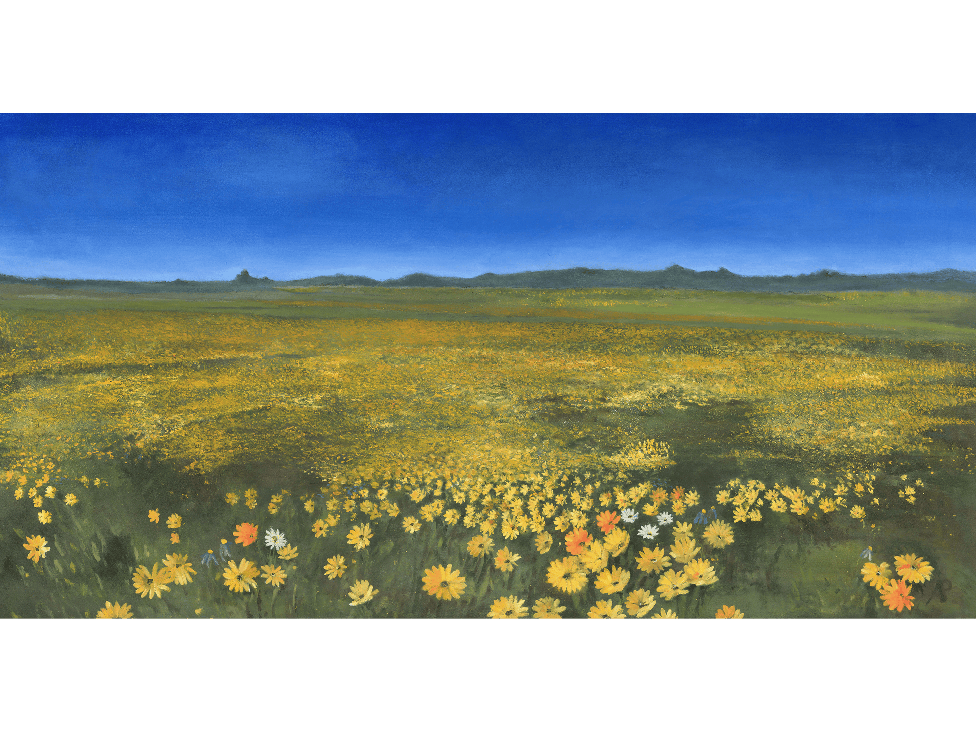Original oil painting 'Nature's Tapestry' by A. Pilling, 80 cm x 160 cm. Wide landscape of dense yellow and orange wildflowers under a clear blue sky, with dark green hills in the distance.