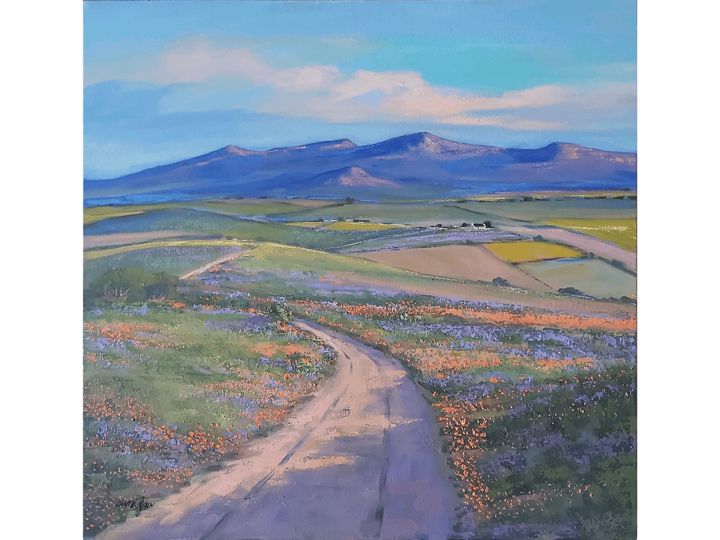 'Overberg Farmlands' - Dante Ruben