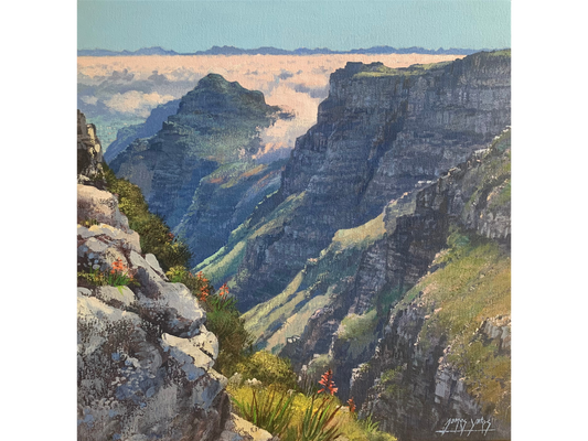 'Looking Down Platteklip Gorge' - James Yates