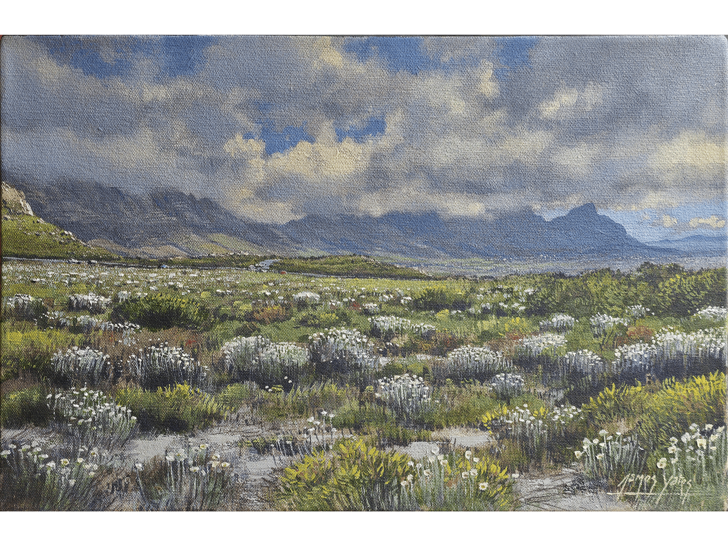 'Silvermine Reserve' - James Yates