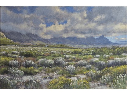 'Silvermine Reserve' - James Yates