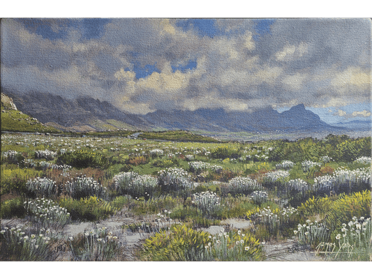 'Silvermine Reserve' - James Yates