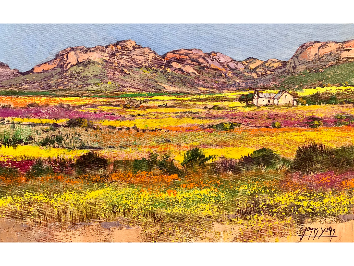 'Small house, Big garden' - James Yates