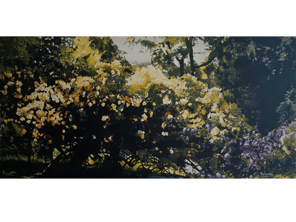 'Spring Garden' - Mike Forrester