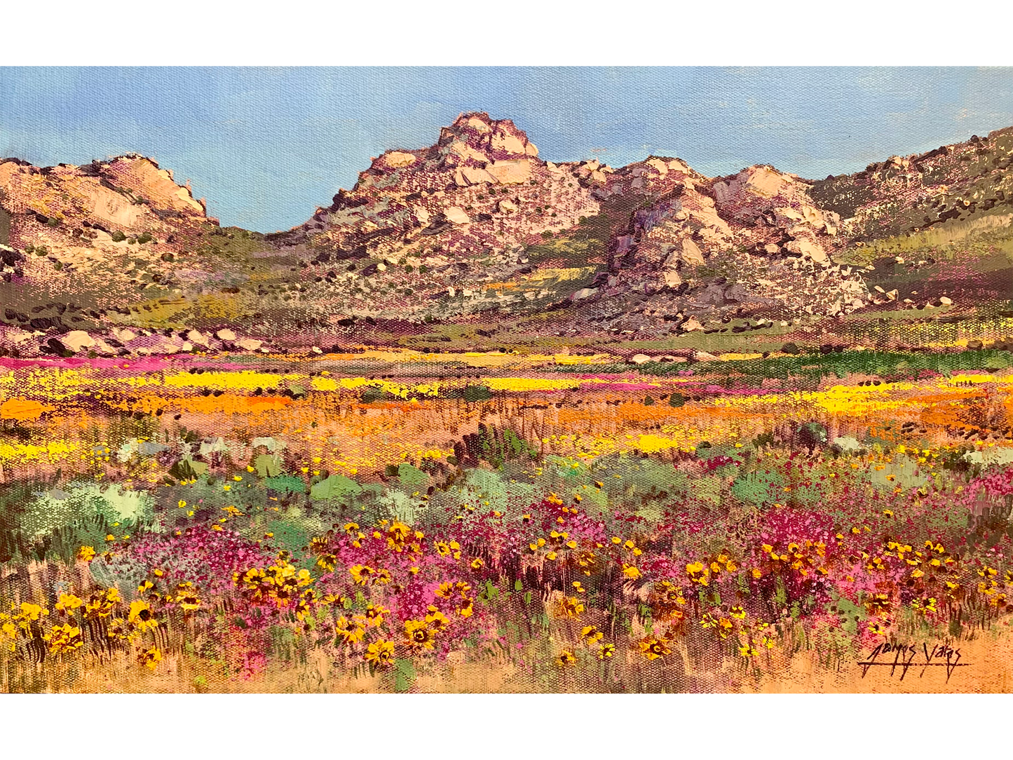 'Springtime near Garies' - James Yates